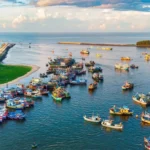 Hồ Tràm